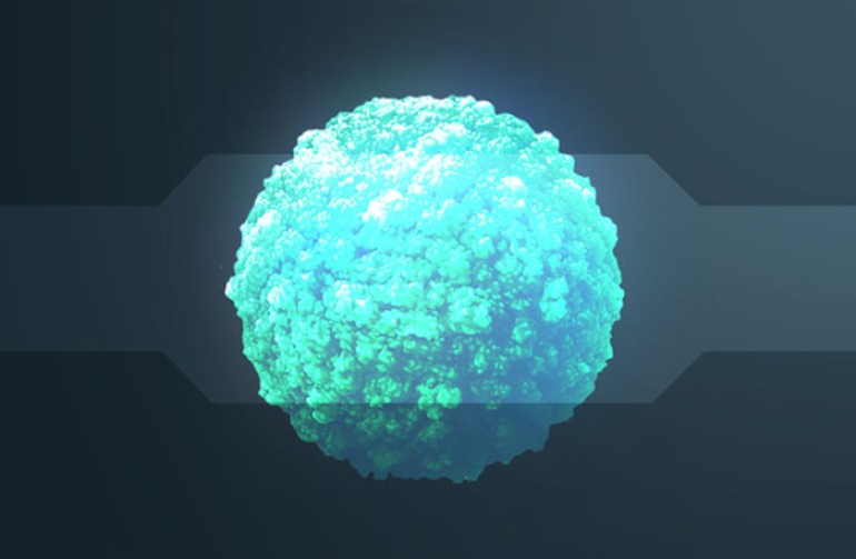 Virus Usutu: i casi in Italia e cosa sappiamo di questo virus