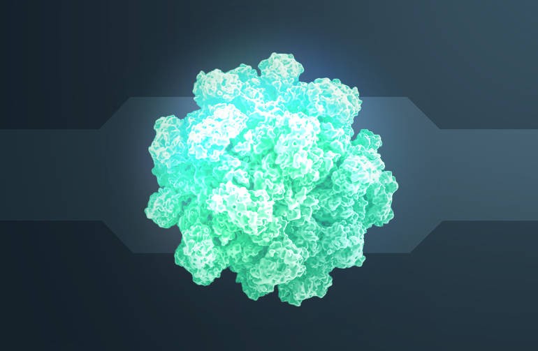 Norovirus: la "gastroenterite" che preoccupa