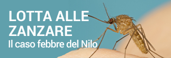Febbre del nilo